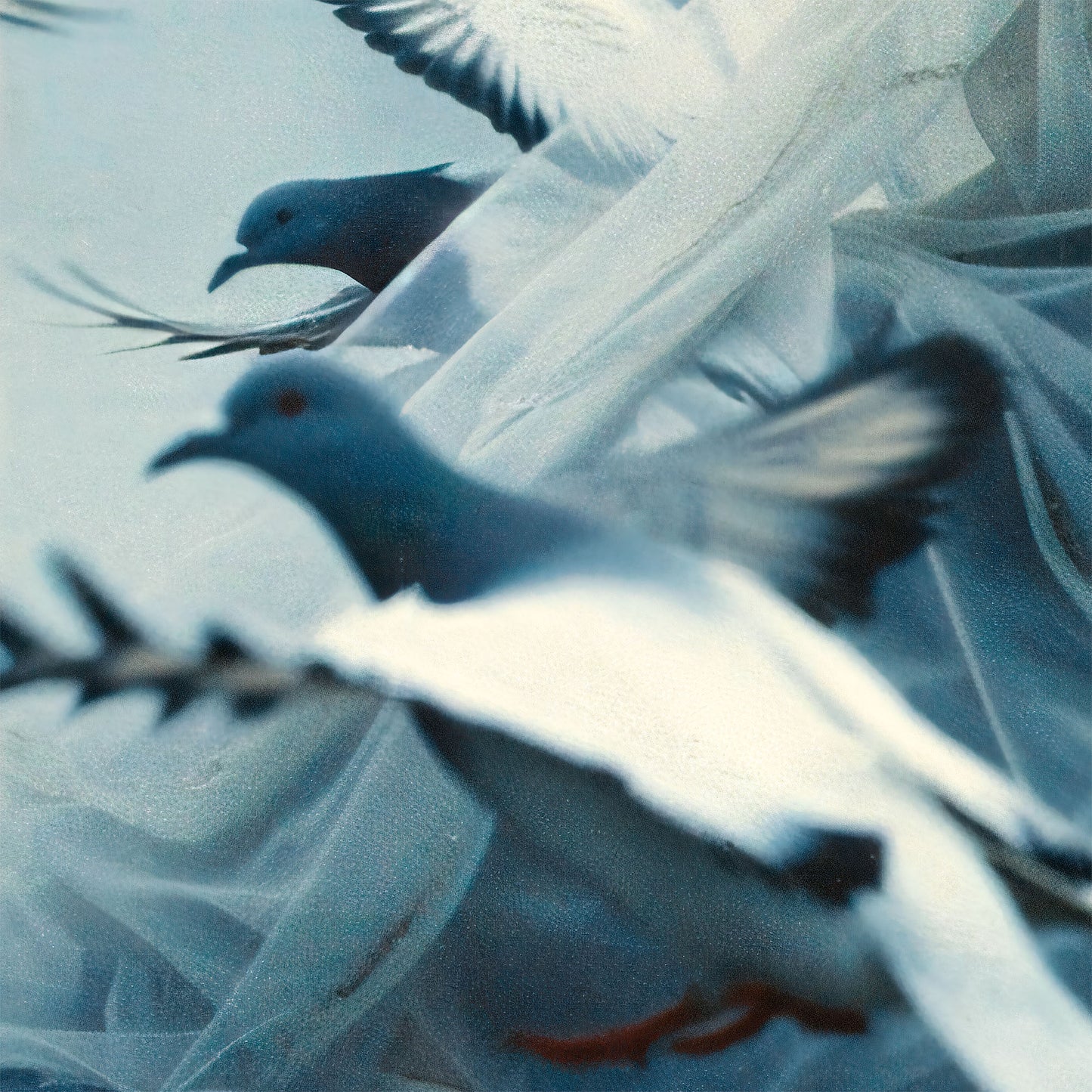 Coastal Pigeons No.2