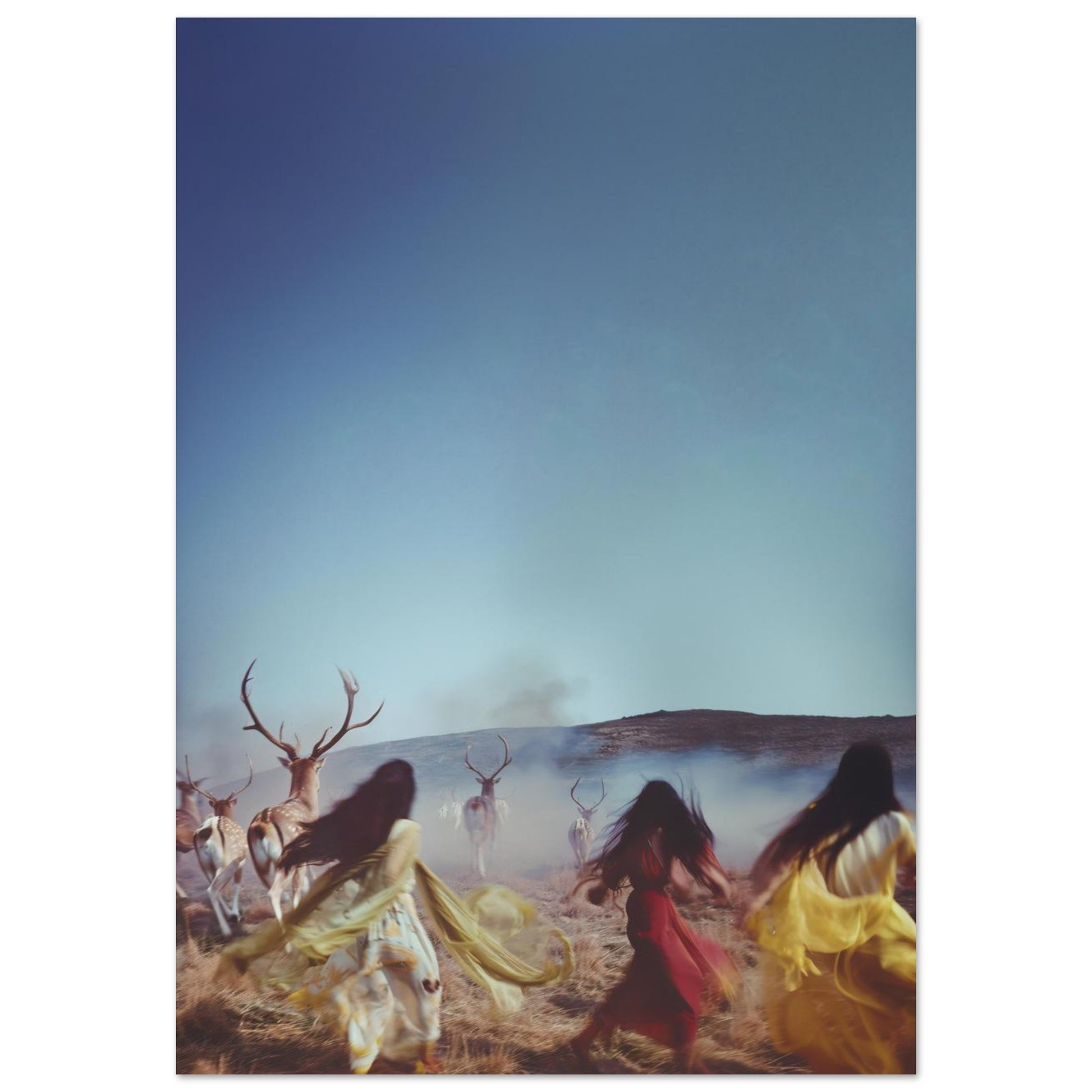 fa506b03-518a-4b76-b567-4e8dd93b9f0c